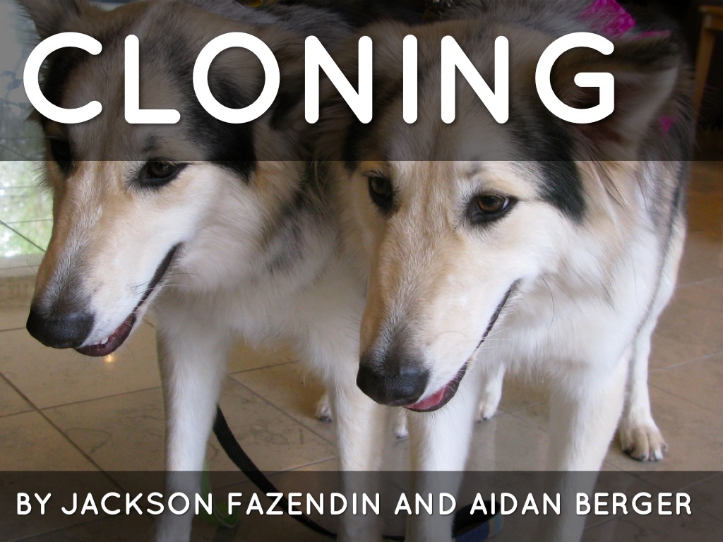 What Is Cloning