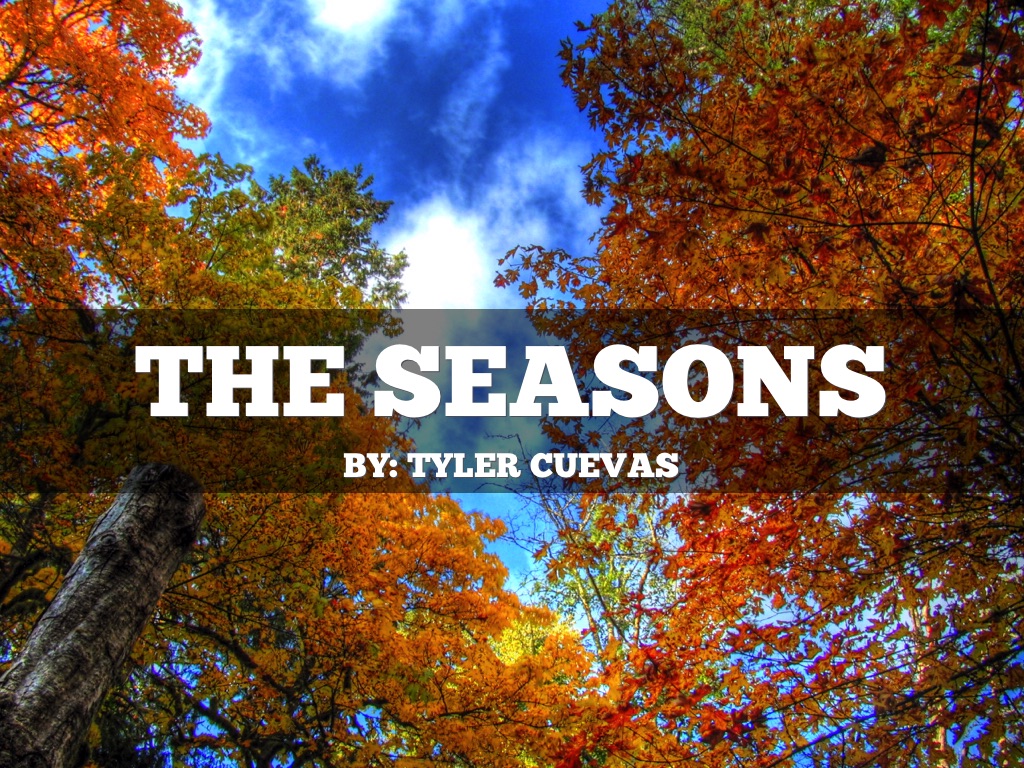 The Seasons