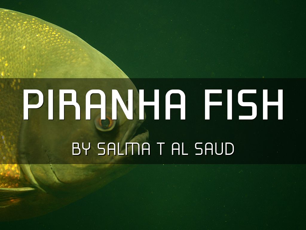 Piranhas