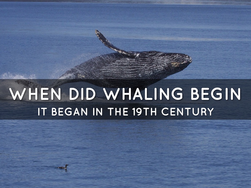 Whaling by Angel Browning