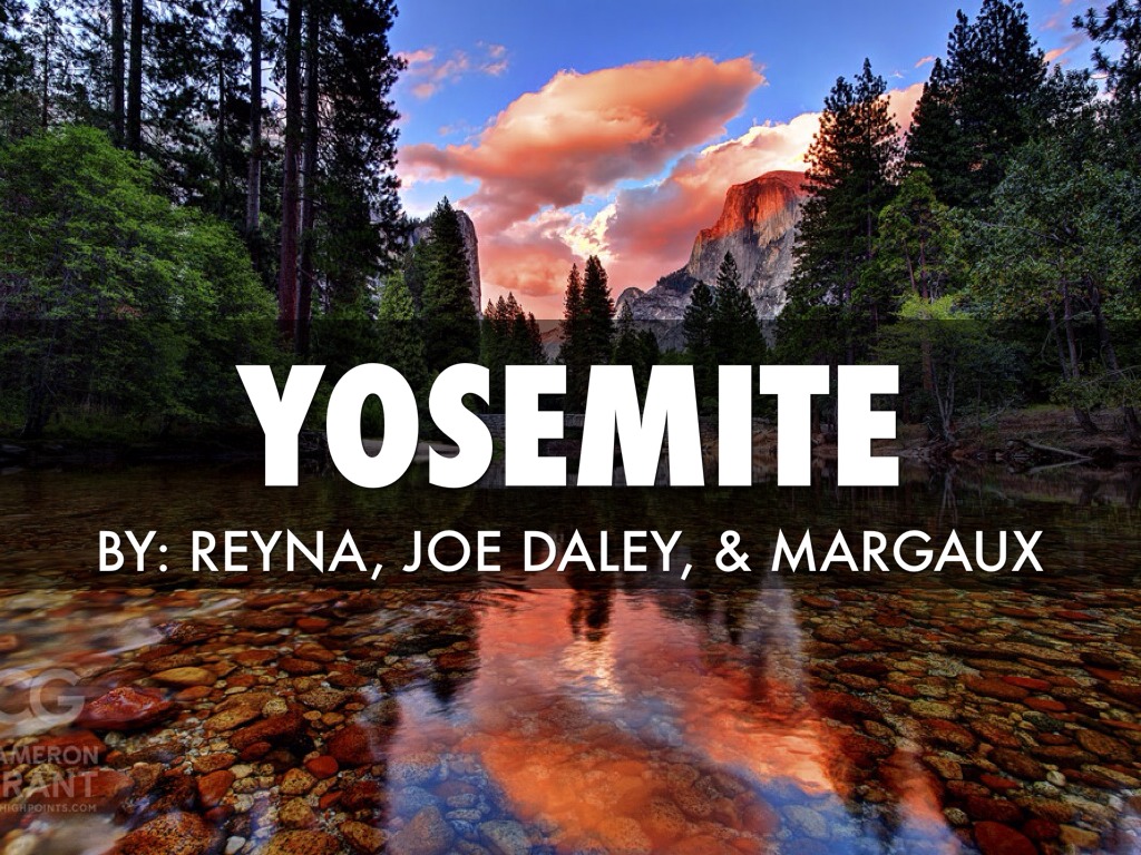 Yosemite By Reyna, Joe Daley, & Margaux