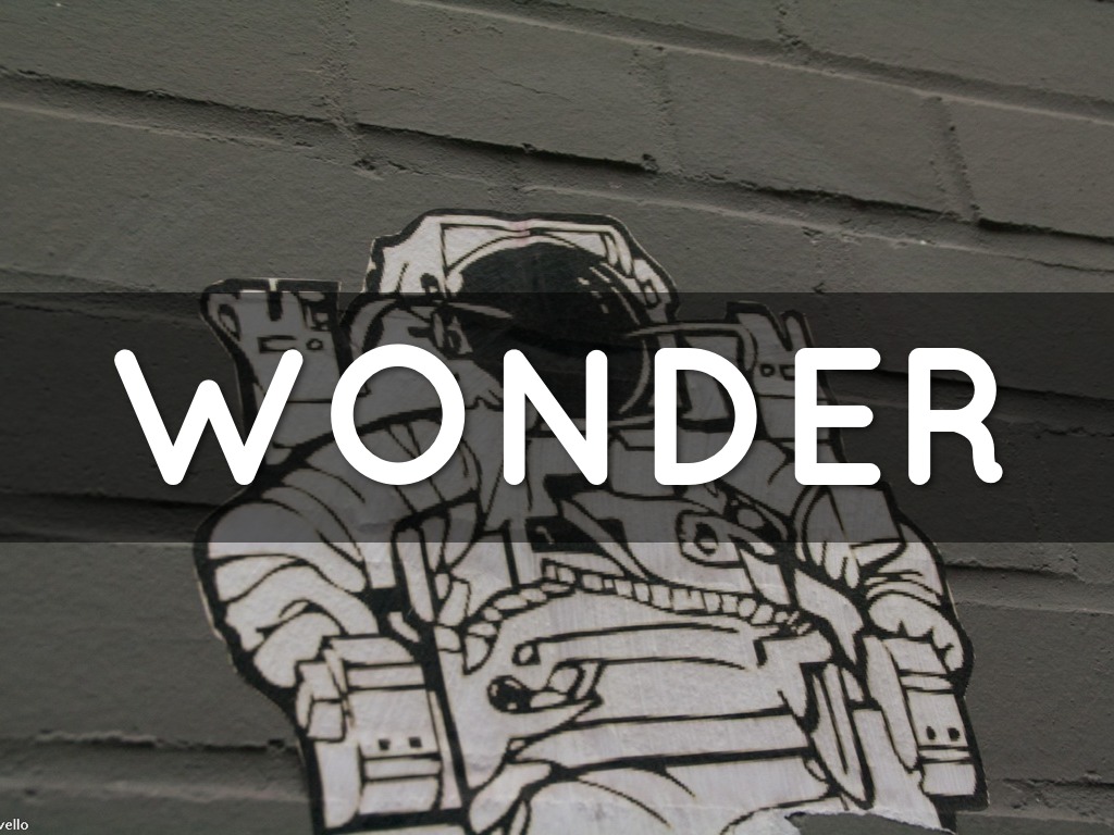 Wonder