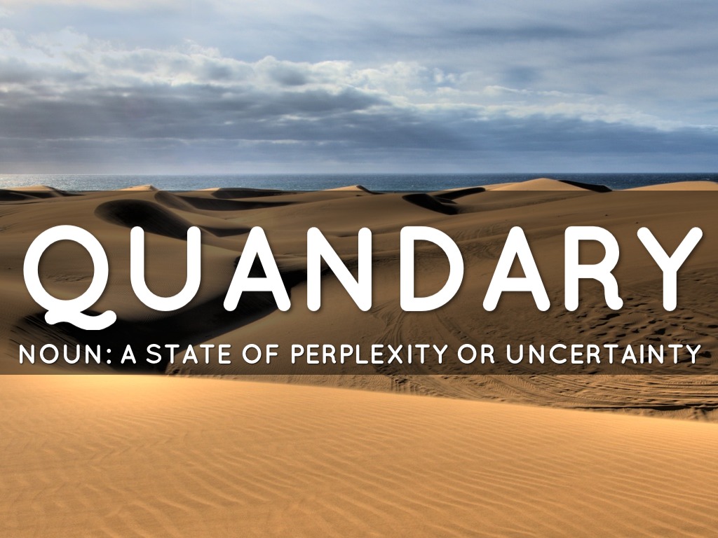 Vocabulary by Jonnie King