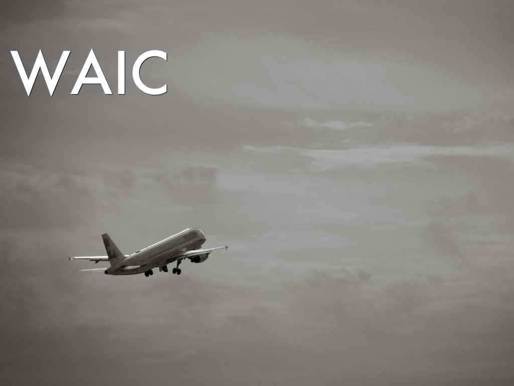 Waic Services