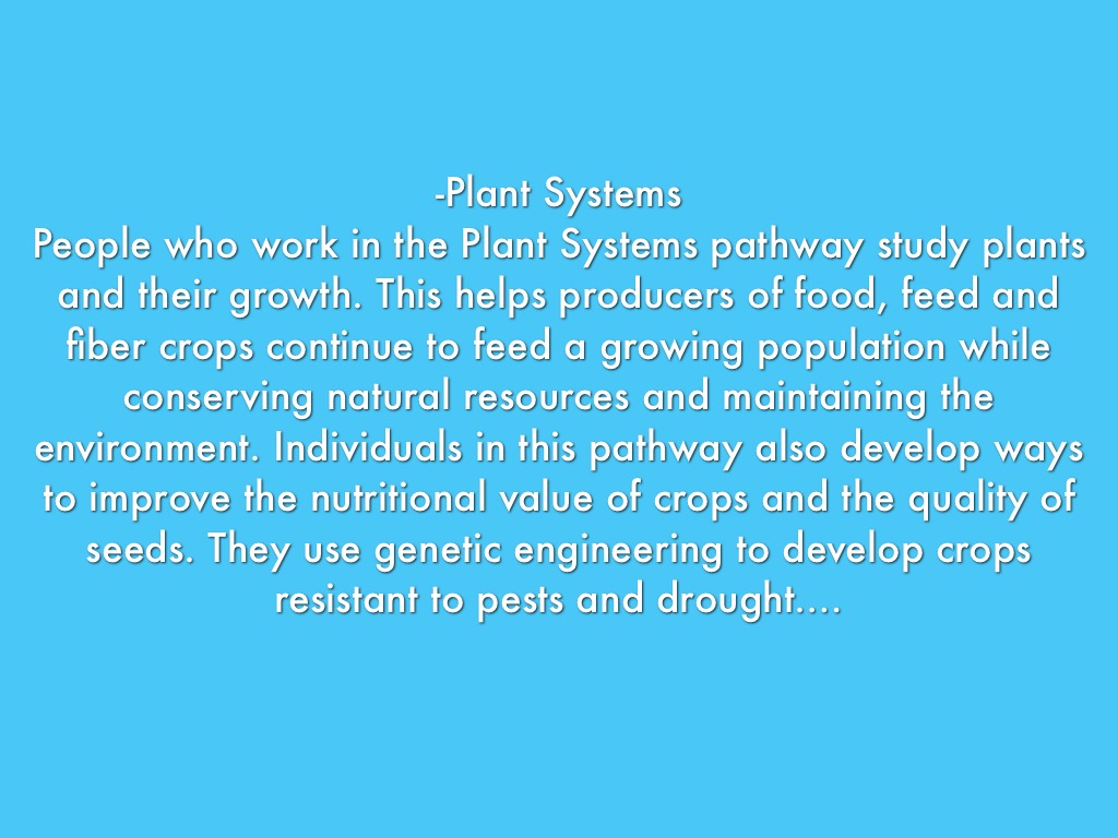 Career Cluster Presentation by Courtney Good