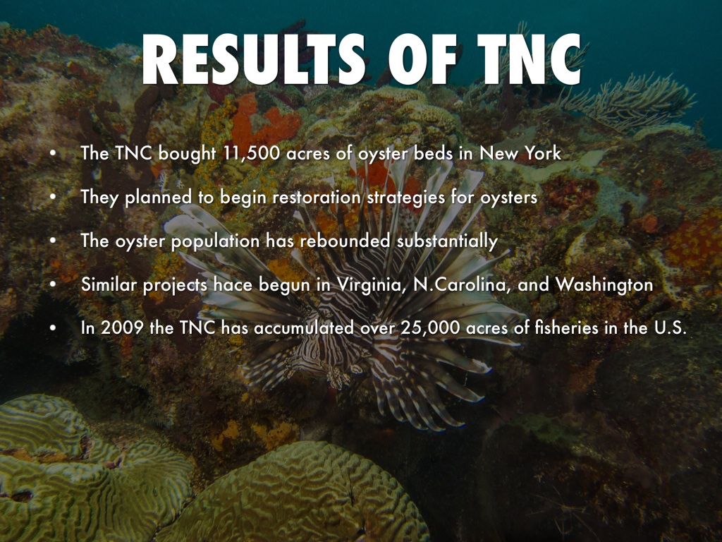 Environmental case study in the philippines image