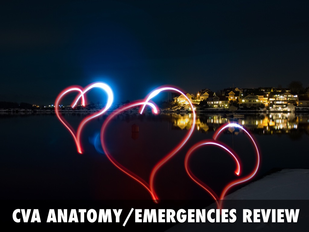 CVA Anatomy/emergencies