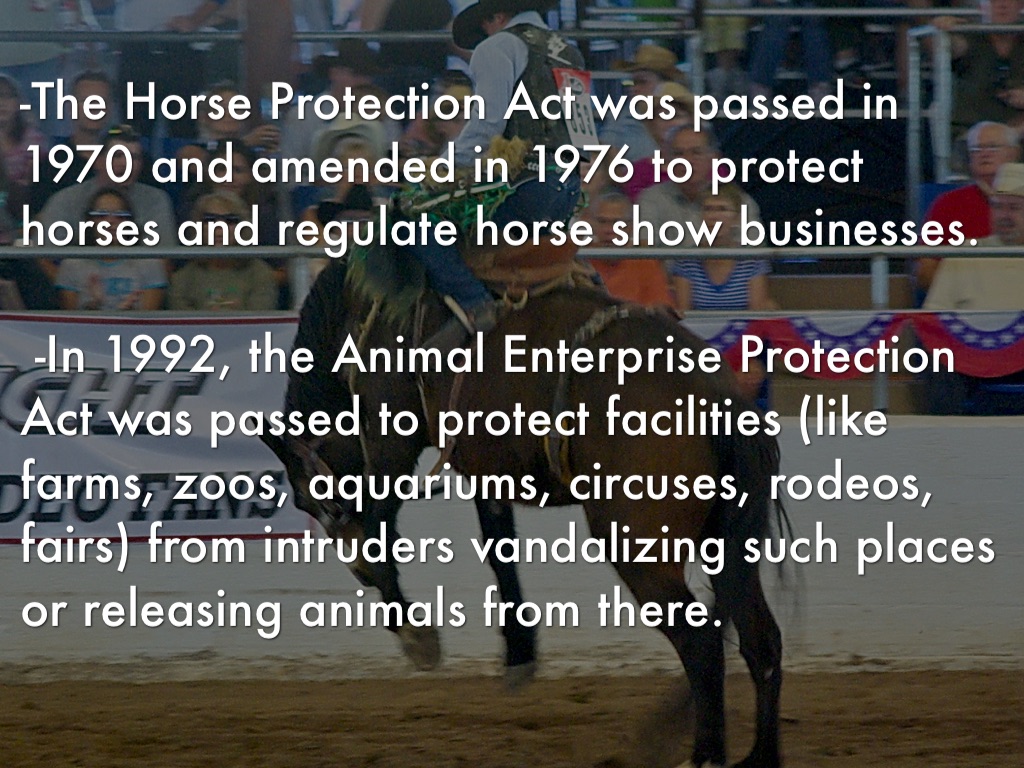 Animals by Daisha Simpson