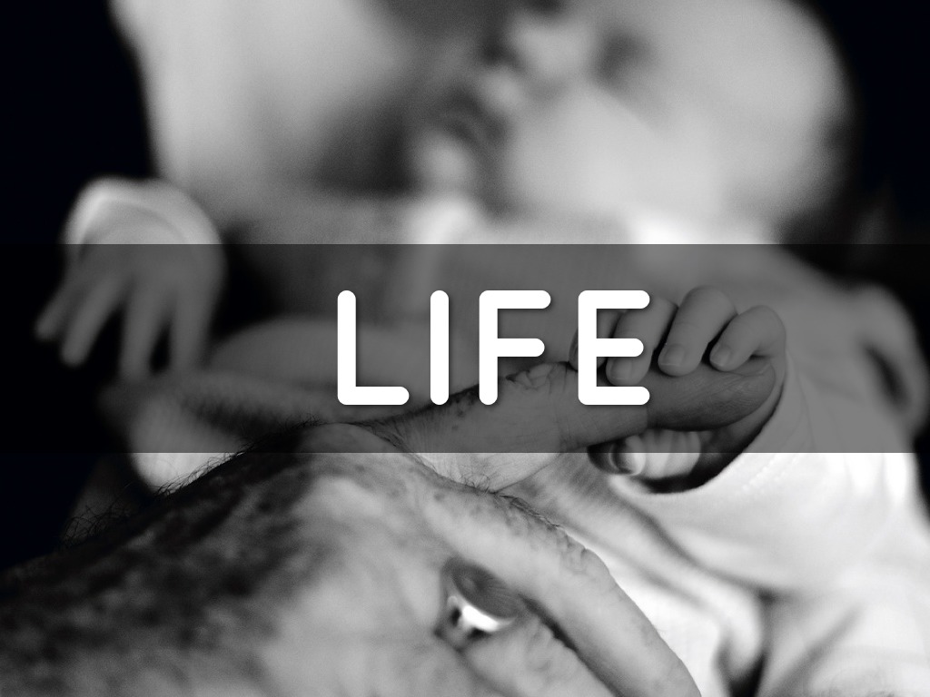 Life