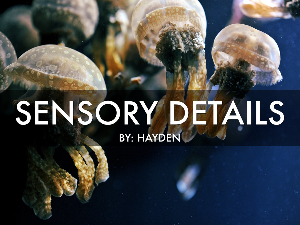 Sensory Details 