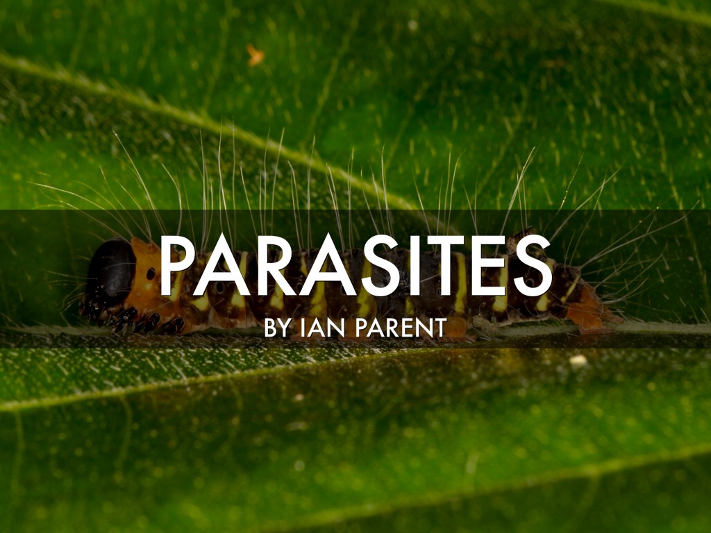 Parasites