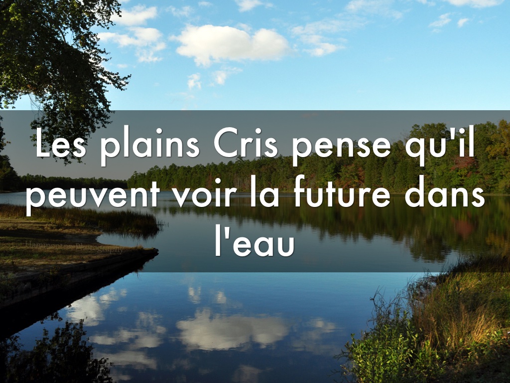 Les Cris By Vanessa Lai