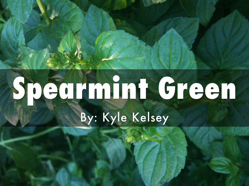Spearmint Green