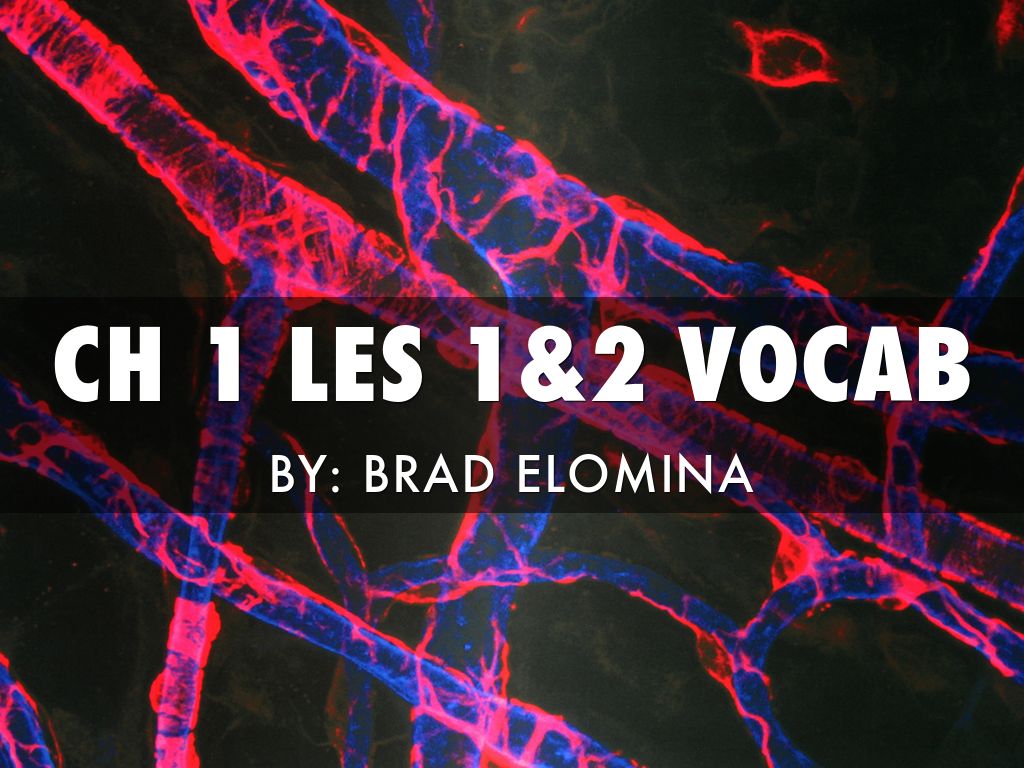 Ch.1, Les 1 And 2 Vocabulary "cells."
