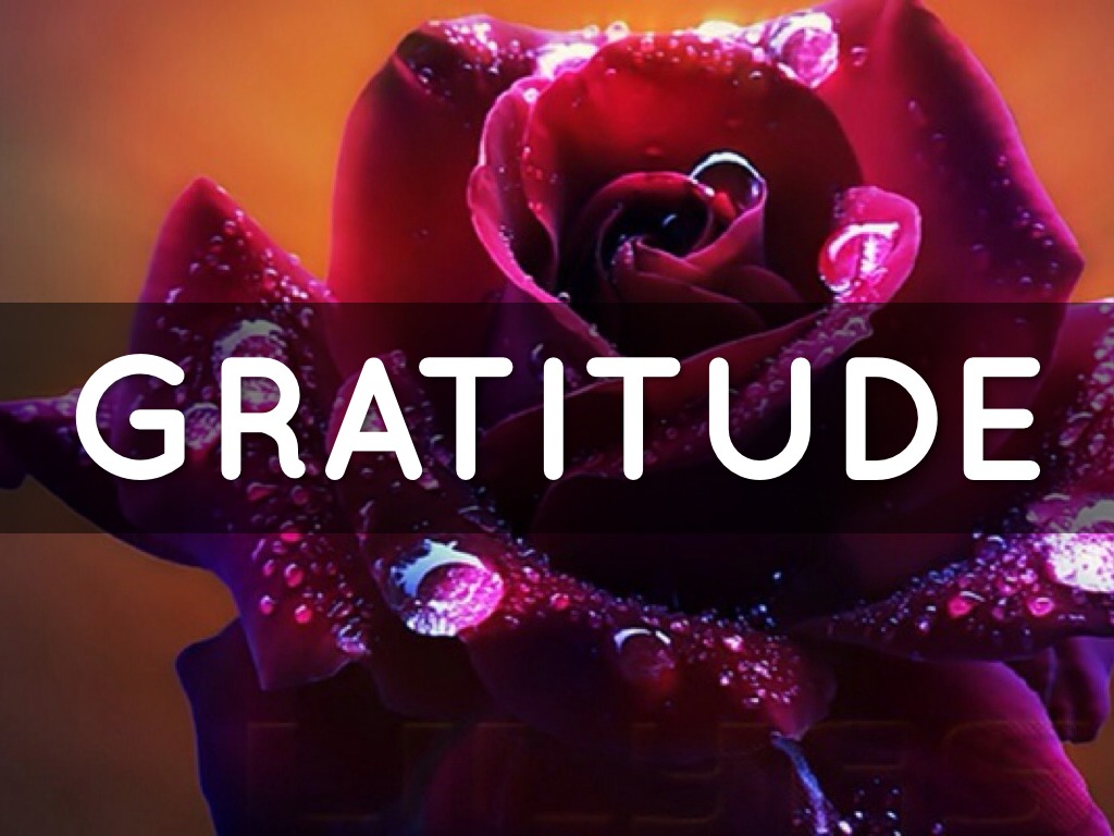 Gratitude 