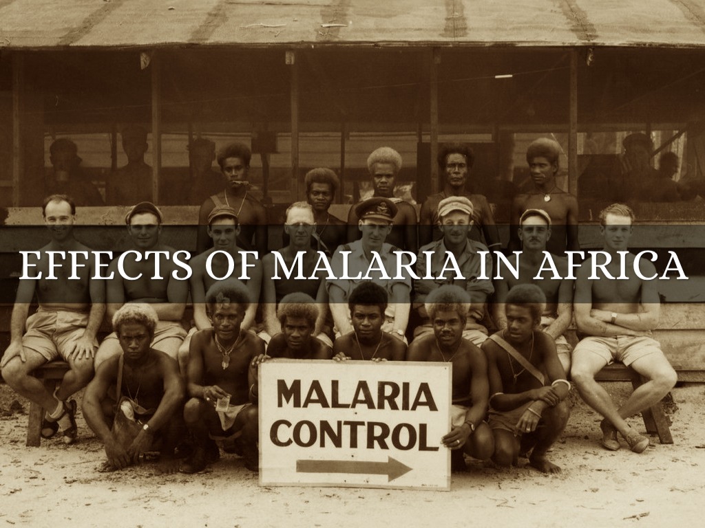 Malaria by Kady Fulkerson
