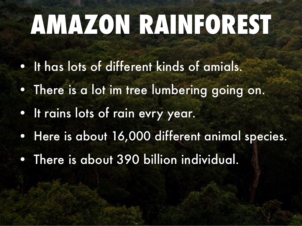 Amazon Rainforest