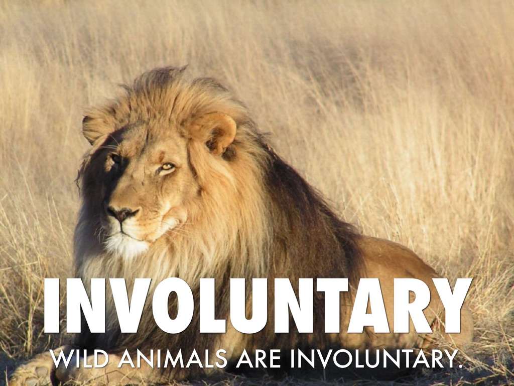 English Ch. 10 Vocab. 