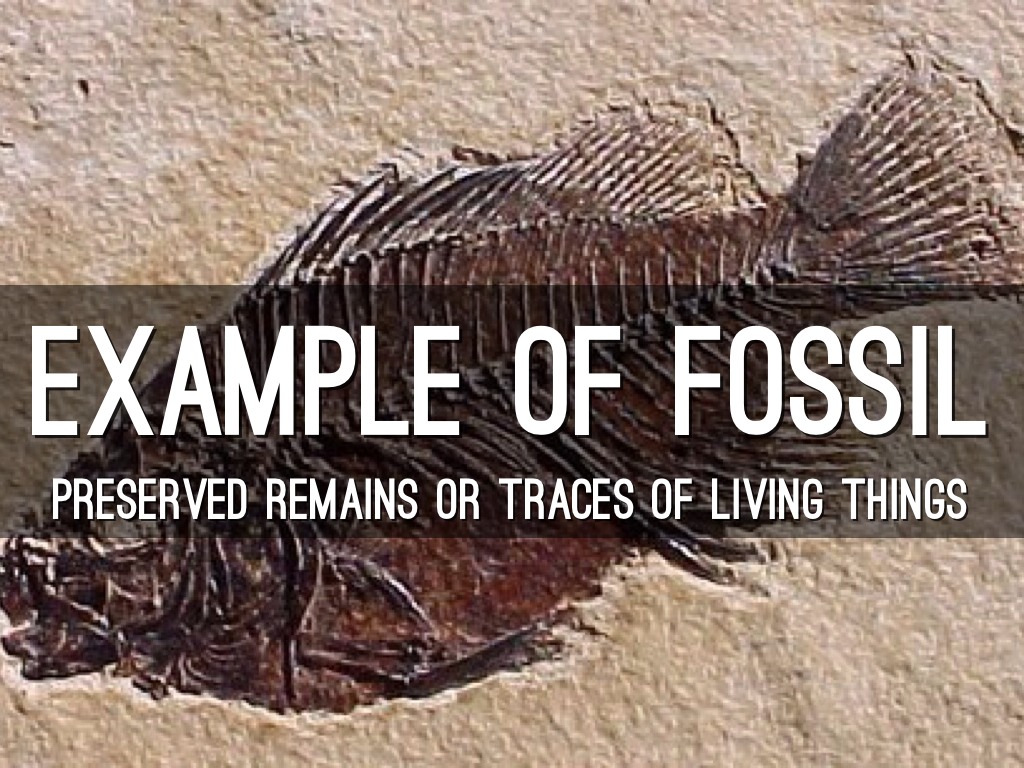 Geology by Avi Bundt