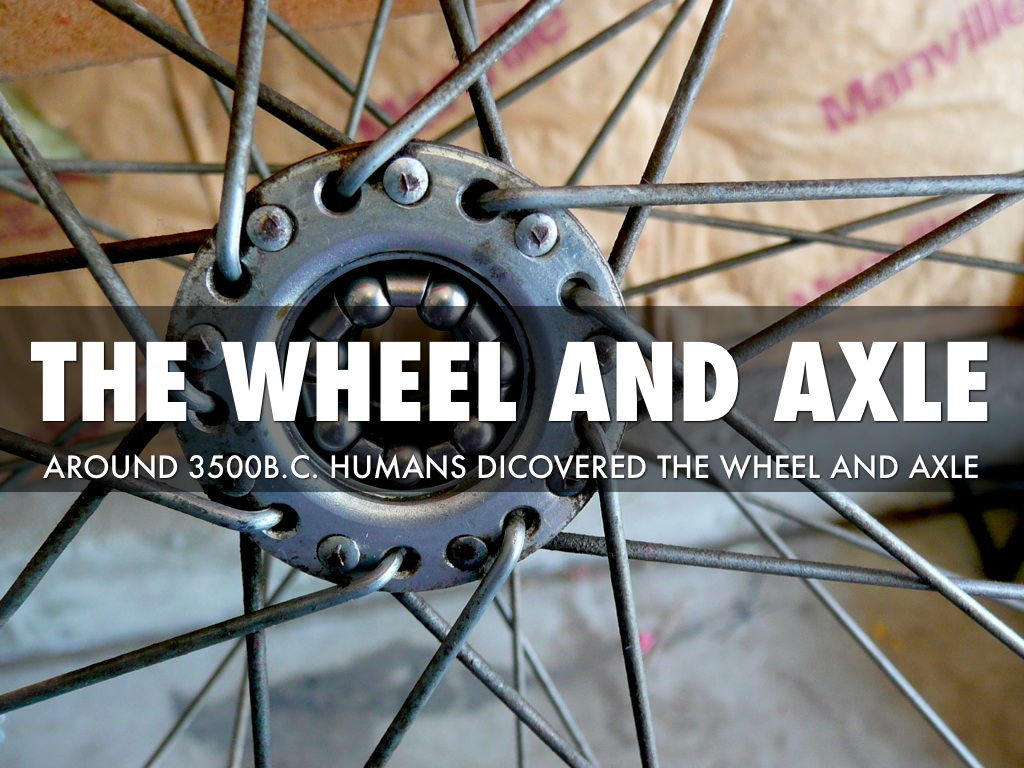 Early Humans by Rose Kassam