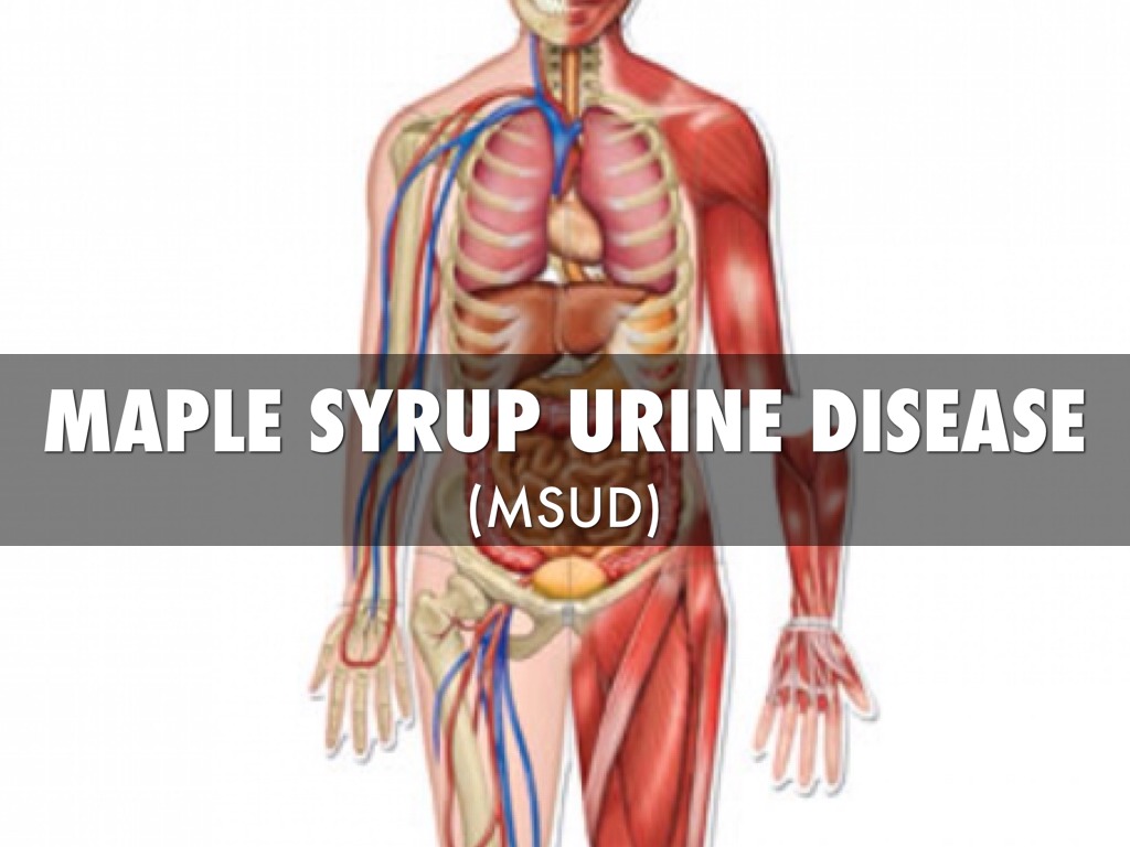 College Power Point by matthew.holbrook