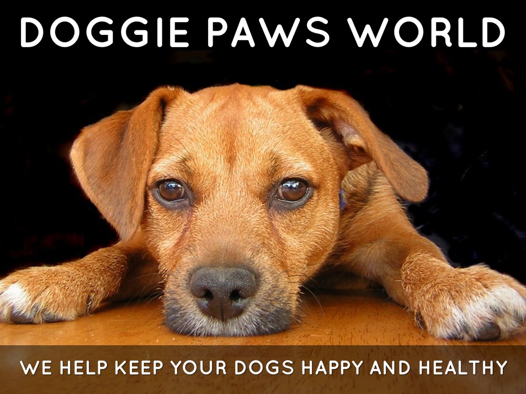 4 months of doggie paws