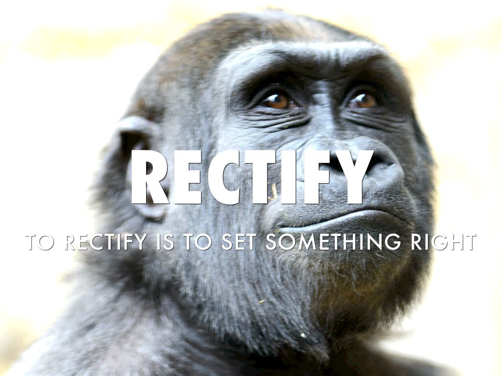 Rectify
