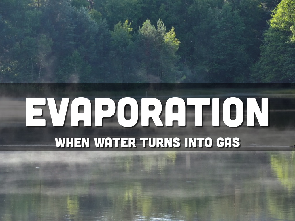 Water Cycle Definitions