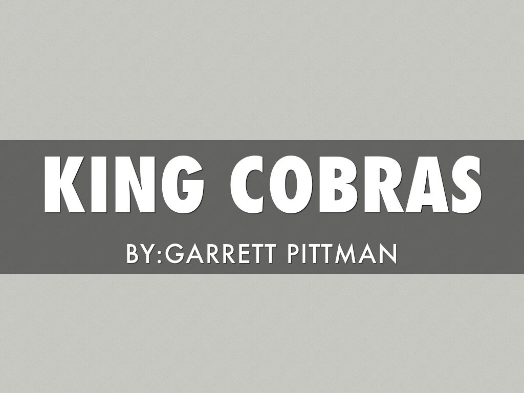 Cobras By Garrett Pittman