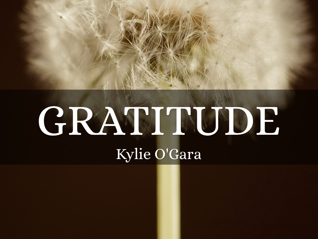Gratitude