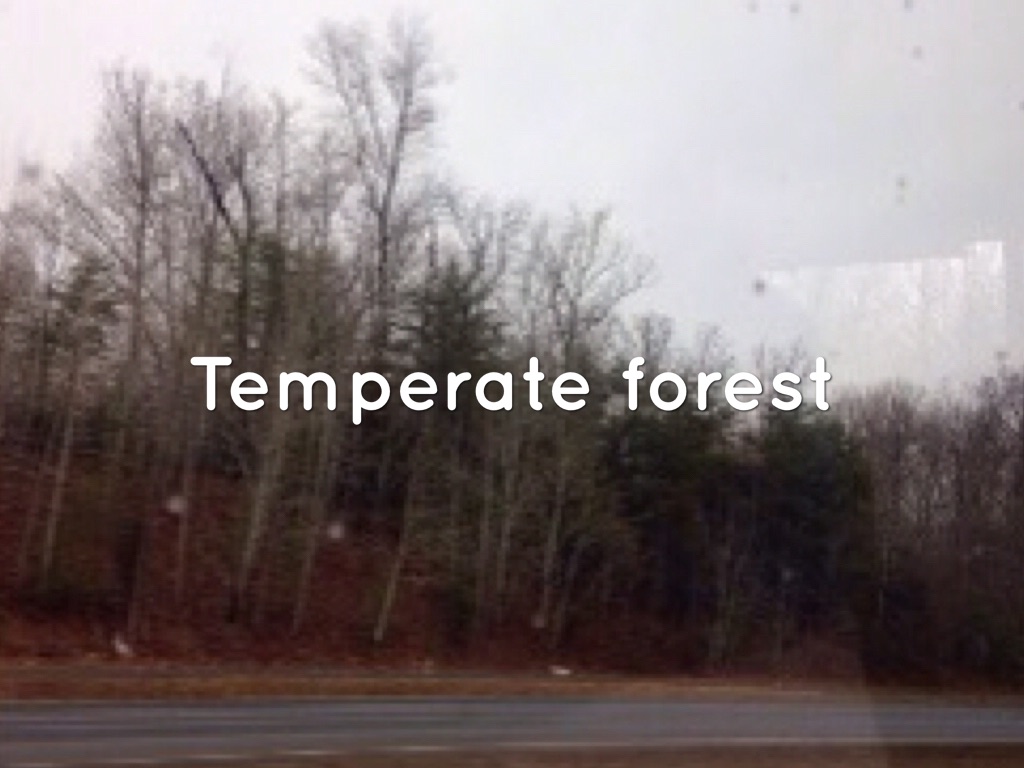 Ecosystems On D.C. Trip