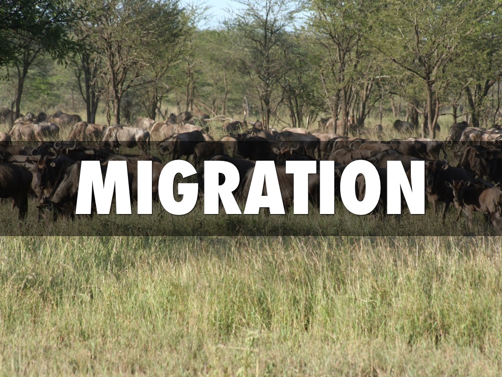 Migration