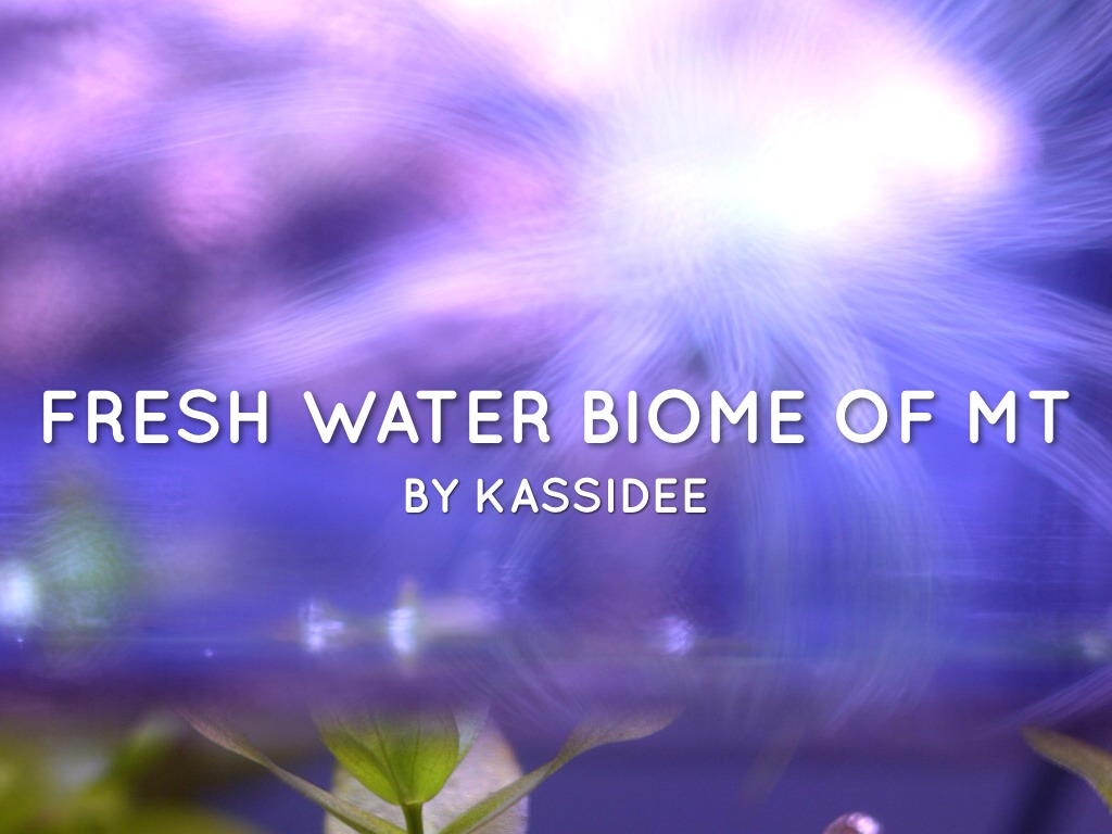 Fresh Water Kassidee