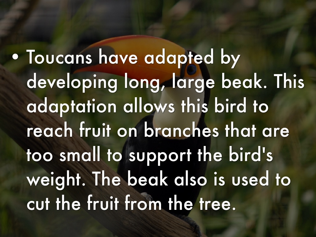 Title by Connor Bowmont