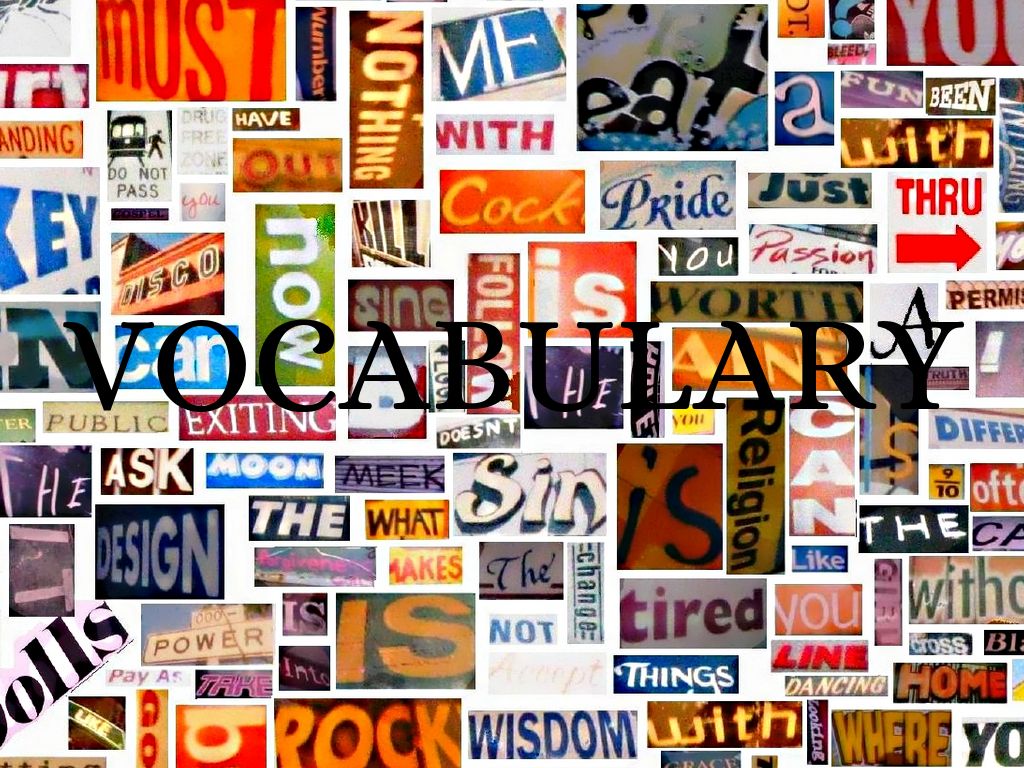 Vocabulary 