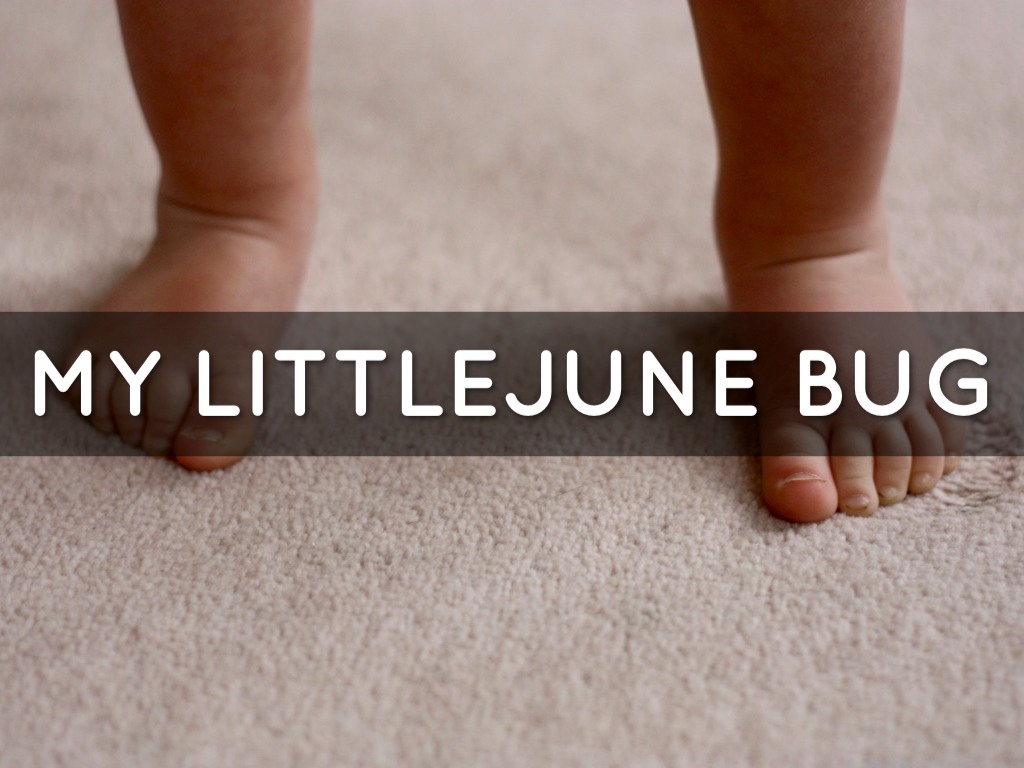 My Little June Bug
