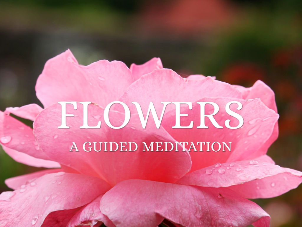 Flowers A Guided Meditation by Lily J