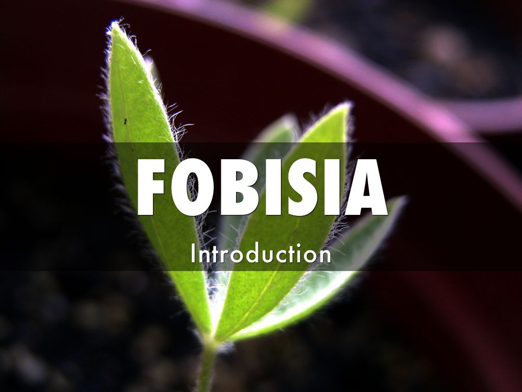 FOBISIA