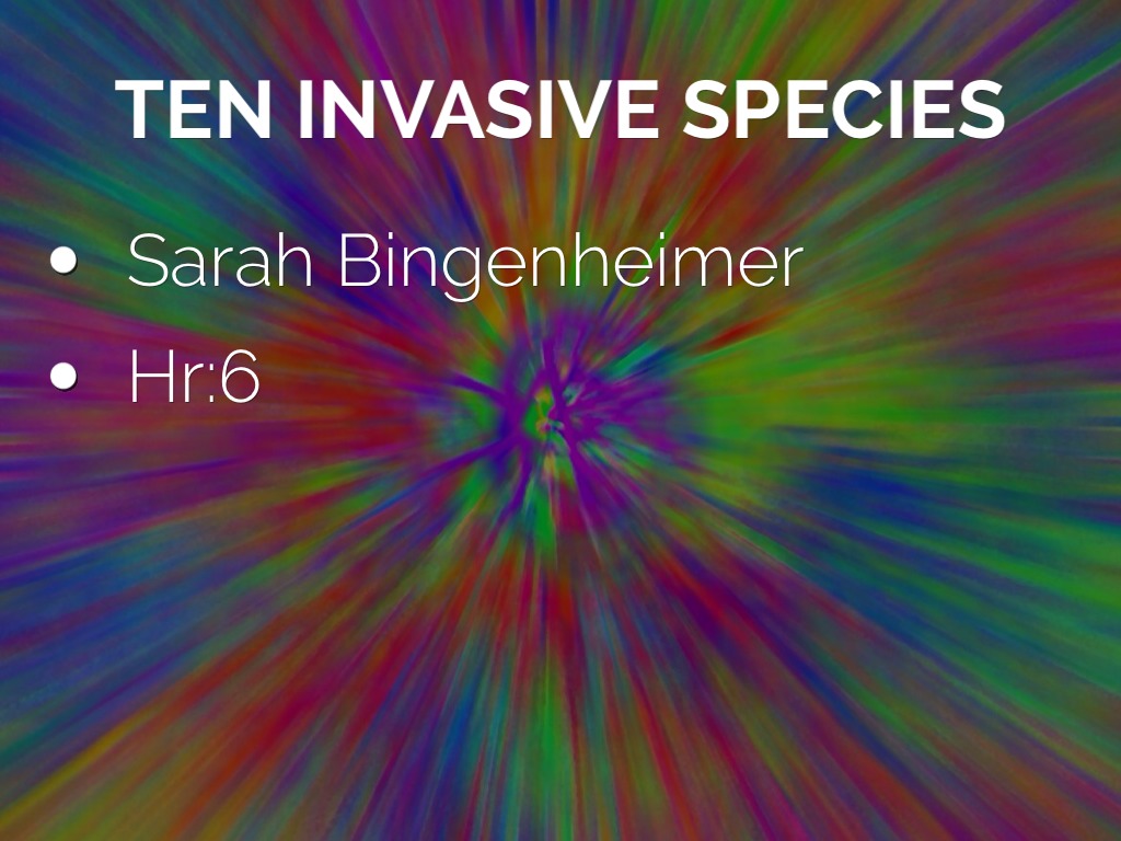 Invasive Species Research Project 