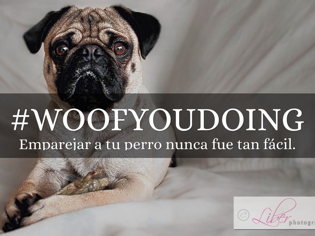 #Woofyoudoing