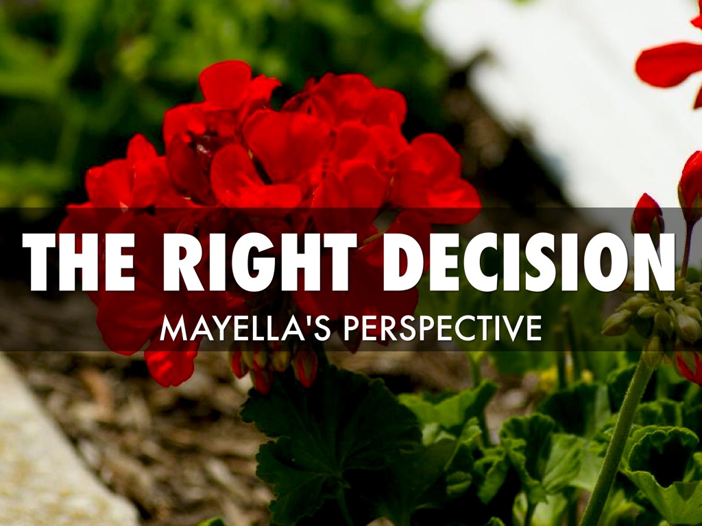 Sophia S Mayella Perspective