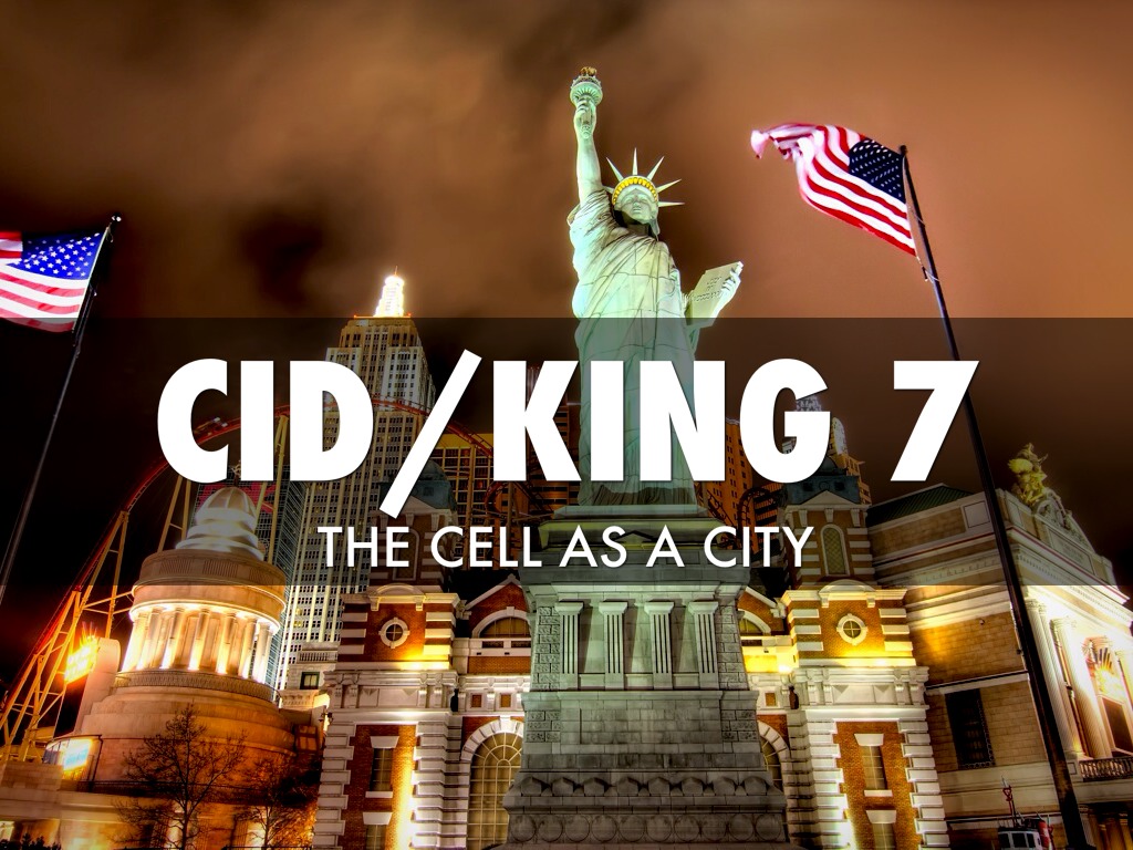 Cid/King 7