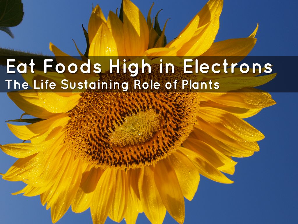 Eat Foods High in Electrons