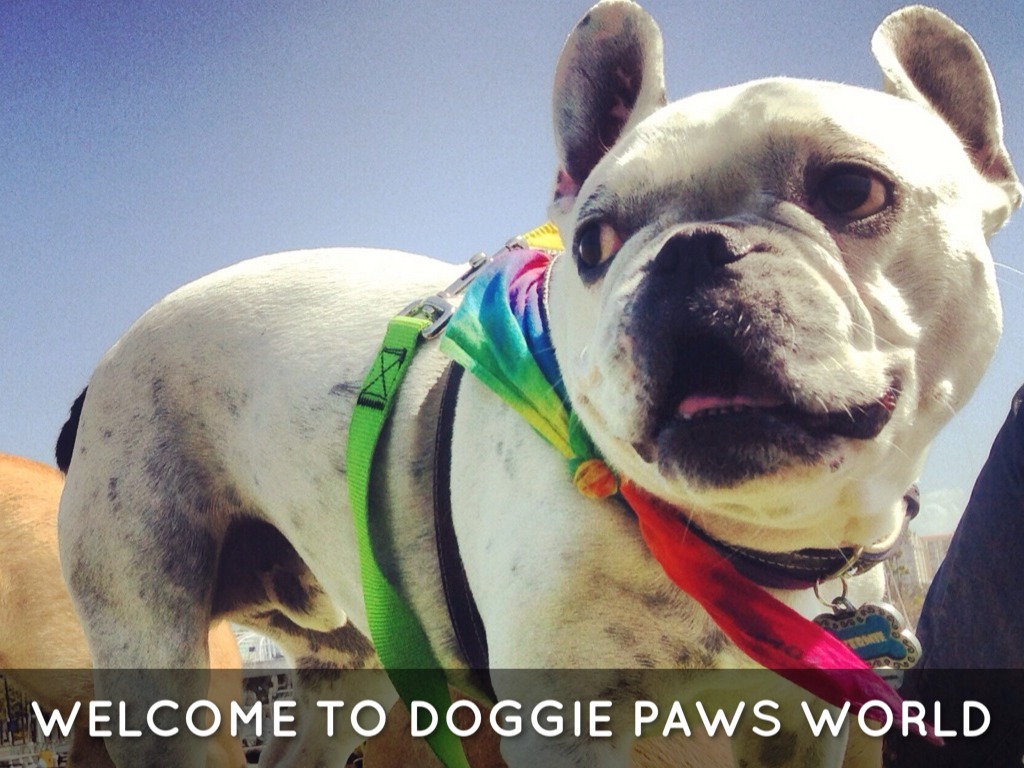 Doggie Paws World