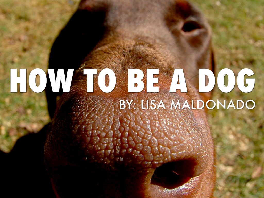 How to be a dog
