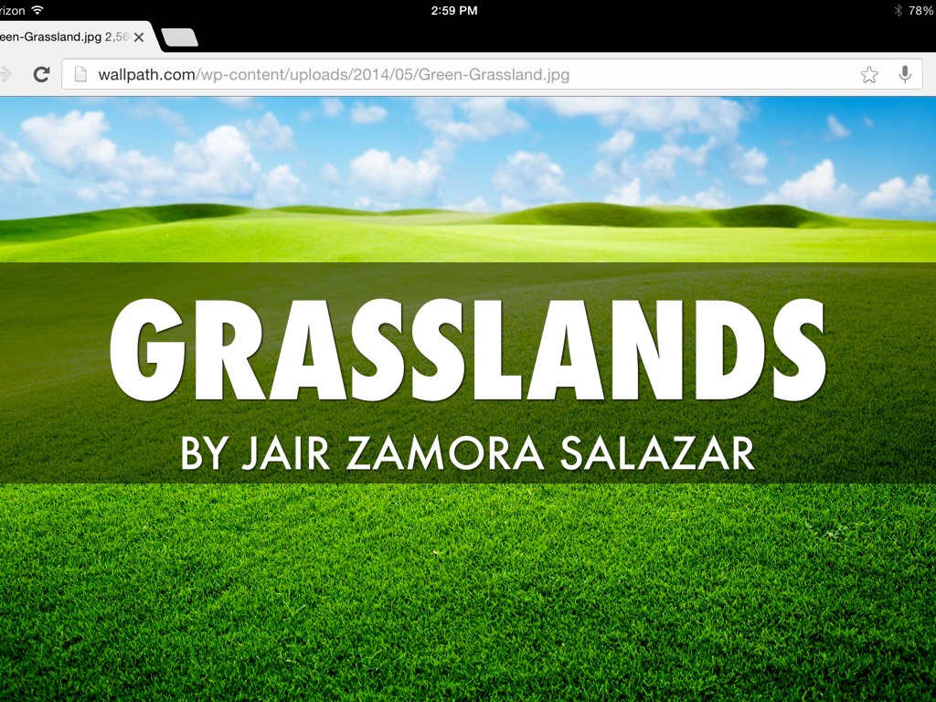 Titlegrasslands