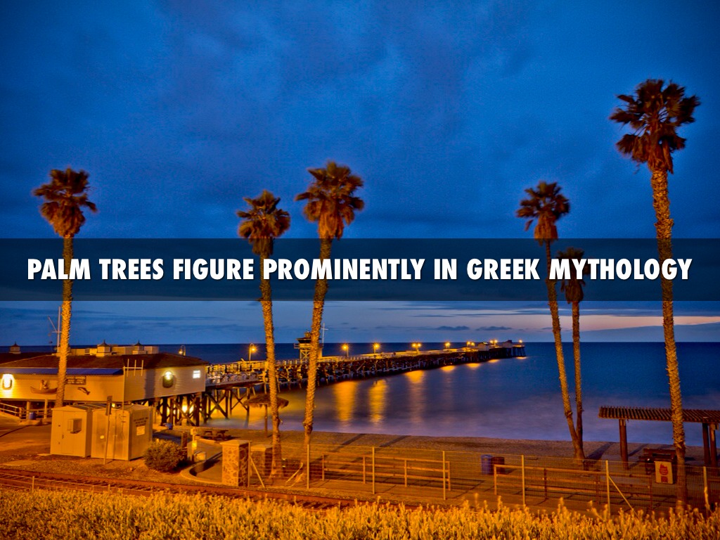 Palm Tree Mythology