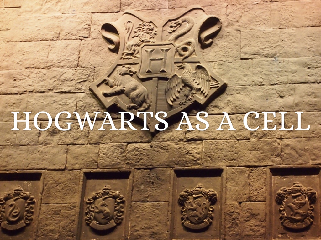 Hogwarts As A Cell