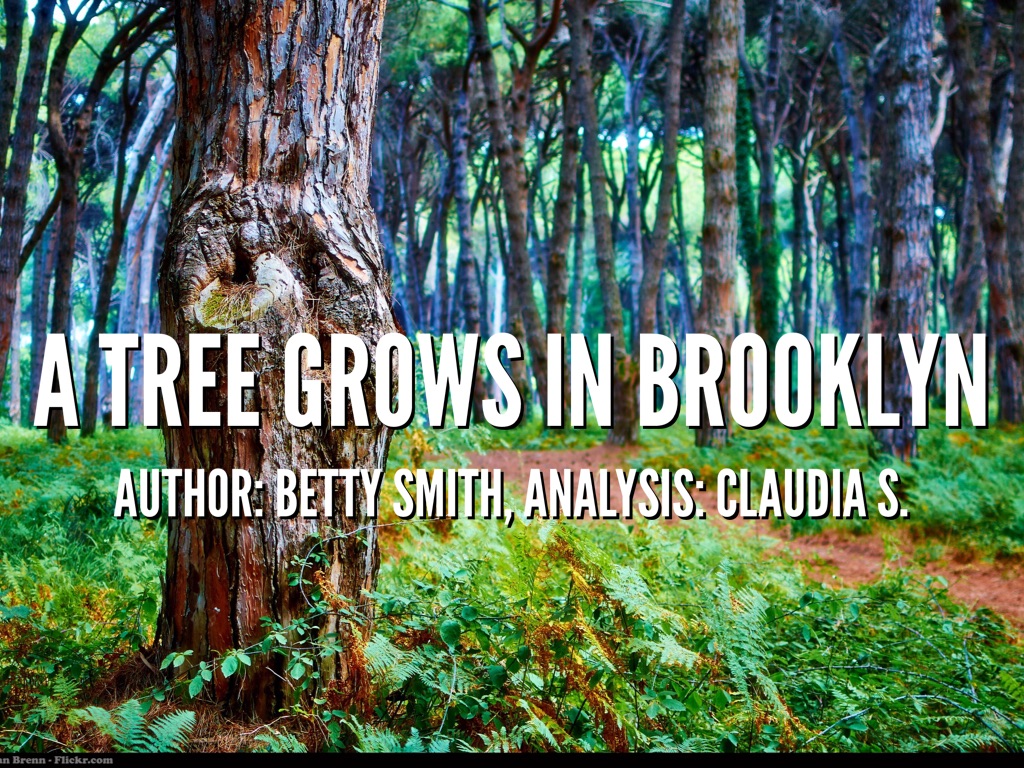 A Tree Grows In Brooklyn by Claudia Stevens
