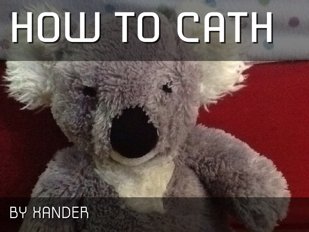 How To Cath